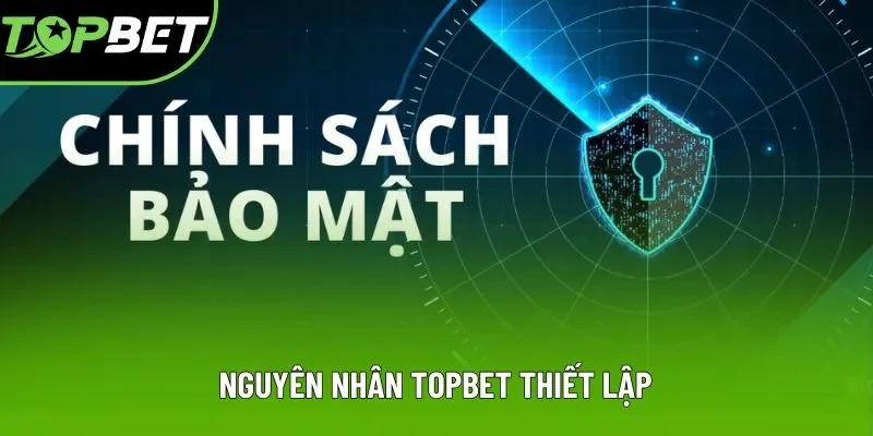 Nguyên nhân Topbet thiết lập Nguyên nhân Topbet thiết lập