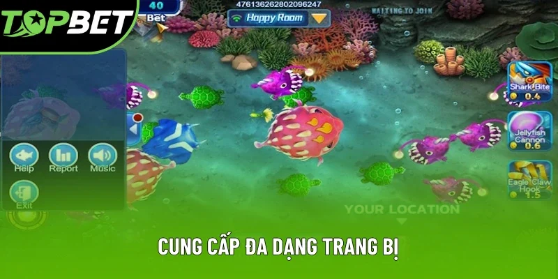Nền tảng cung cấp trang bị phong phú Nền tảng cung cấp trang bị phong phú